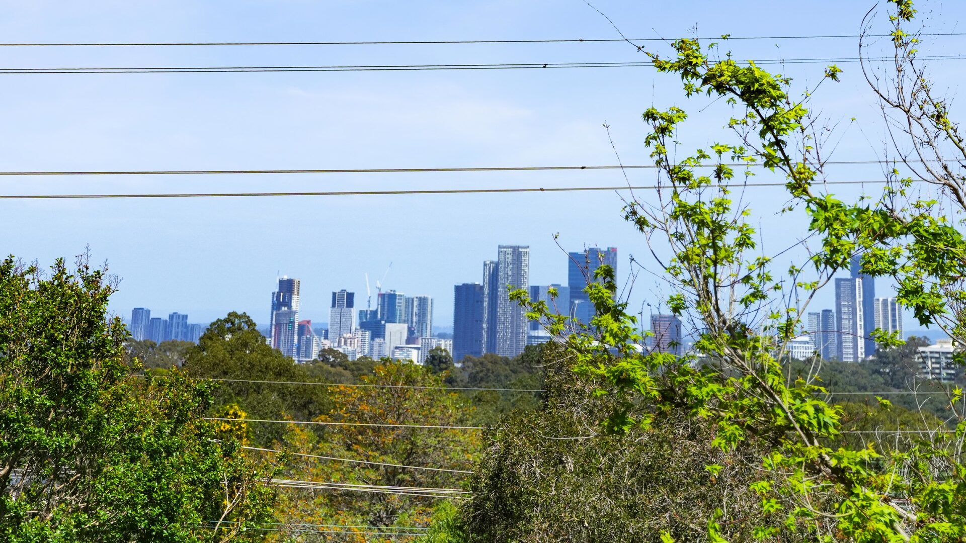 Auction - 62A Dandarbong Avenue - New Property in Carlingford - Real Estate by Betty Ockerlander
