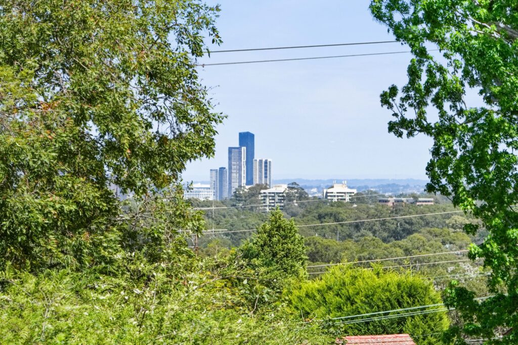 Auction - 62A Dandarbong Avenue - New Property in Carlingford - Real Estate by Betty Ockerlander
