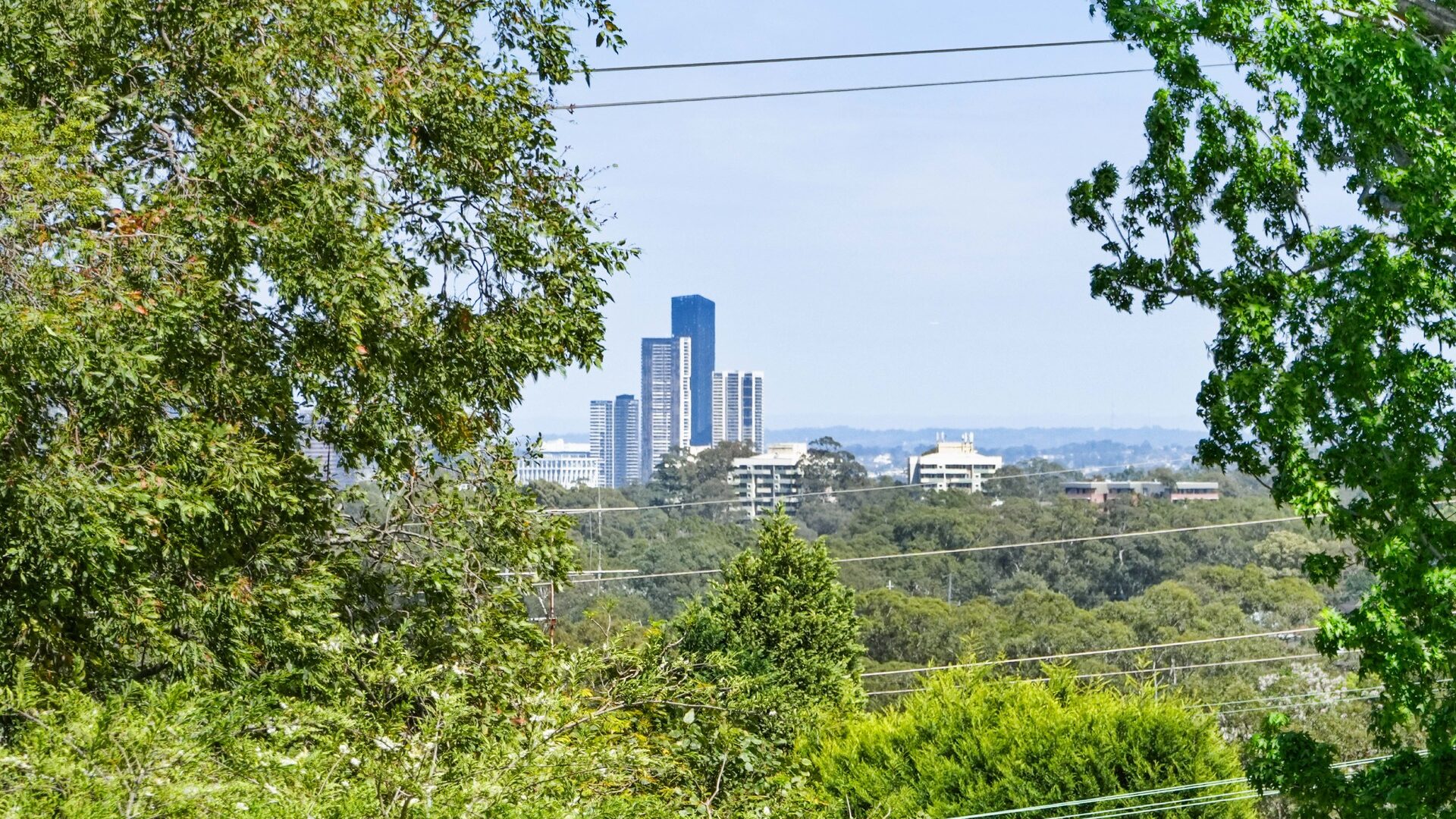 Auction - 62A Dandarbong Avenue - New Property in Carlingford - Real Estate by Betty Ockerlander