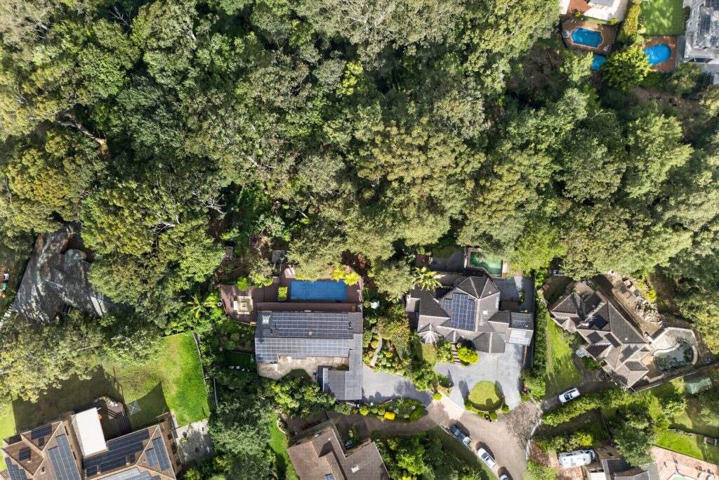 Auction - 6 Dewberry Way - New Property in Castle Hill - Real Estate by Mark Vinogradov